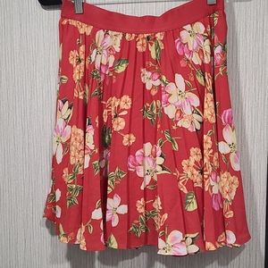 Express skirt